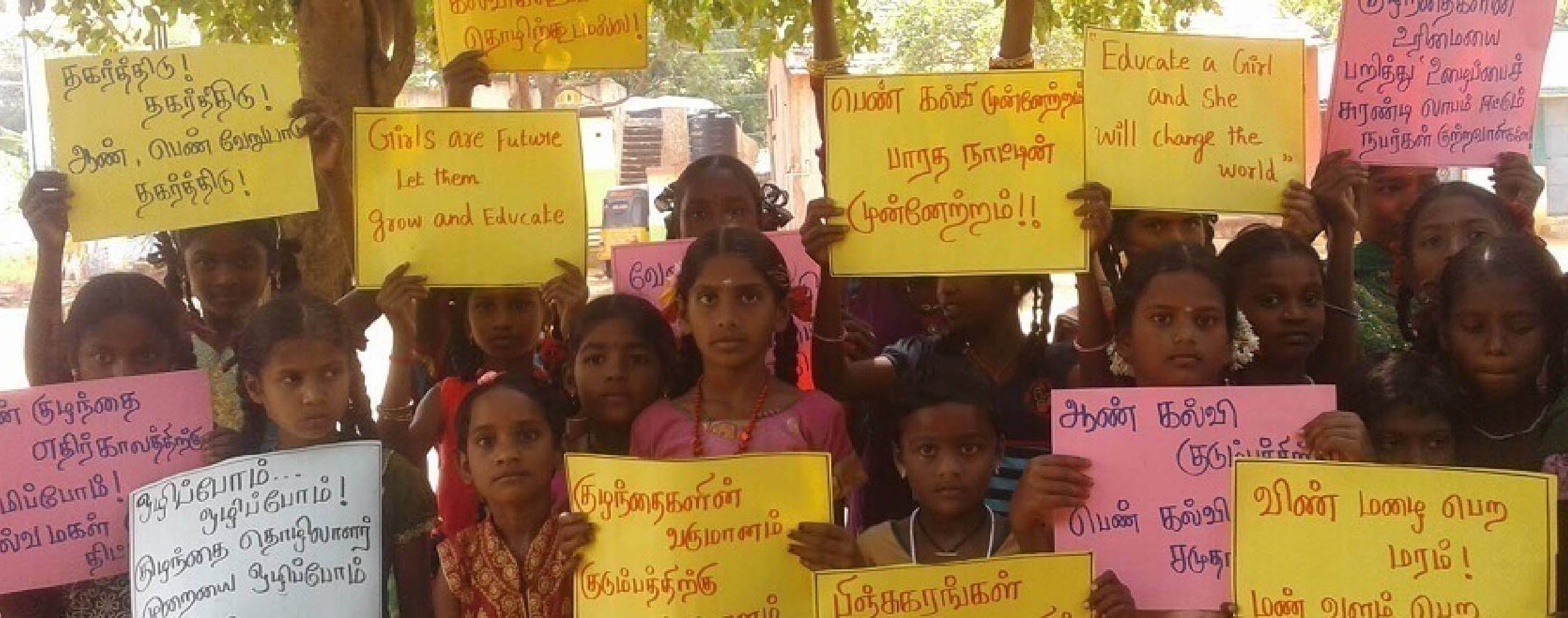 Sustainable Agriculture & Organic Farming