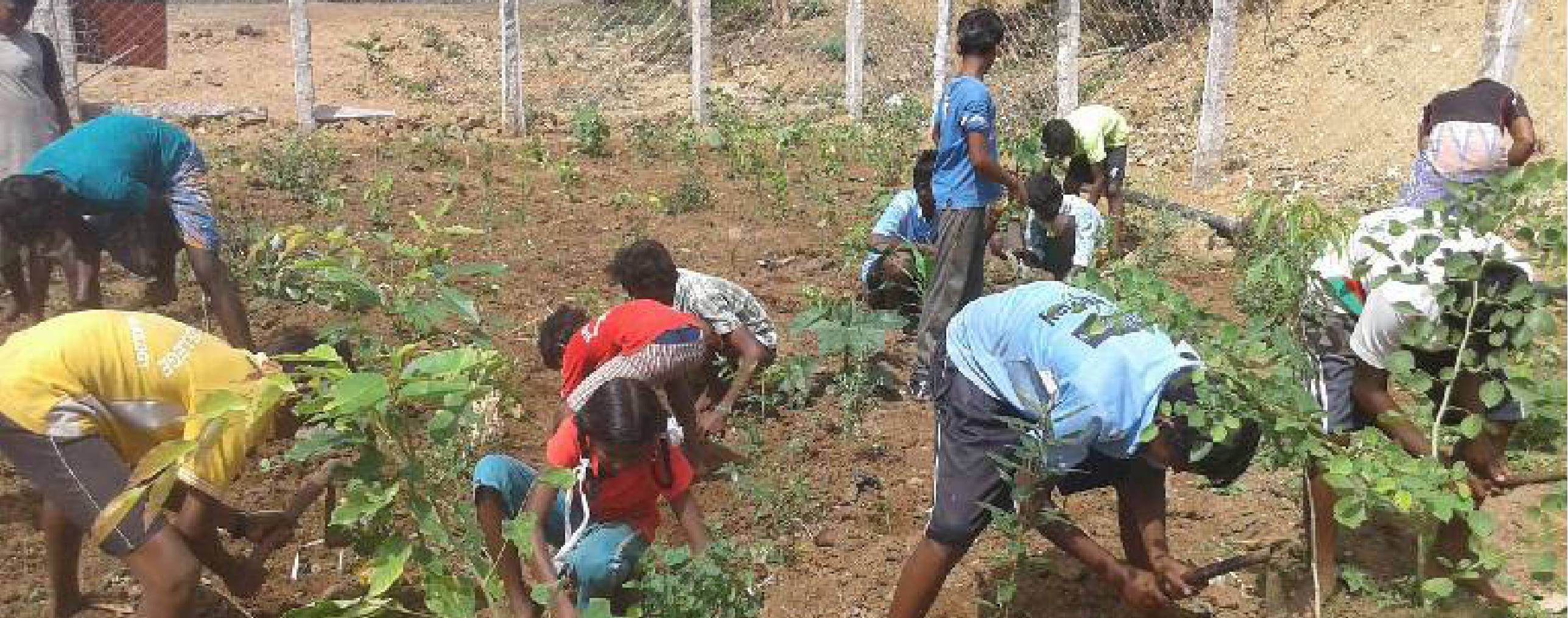 Sustainable Agriculture & Organic Farming