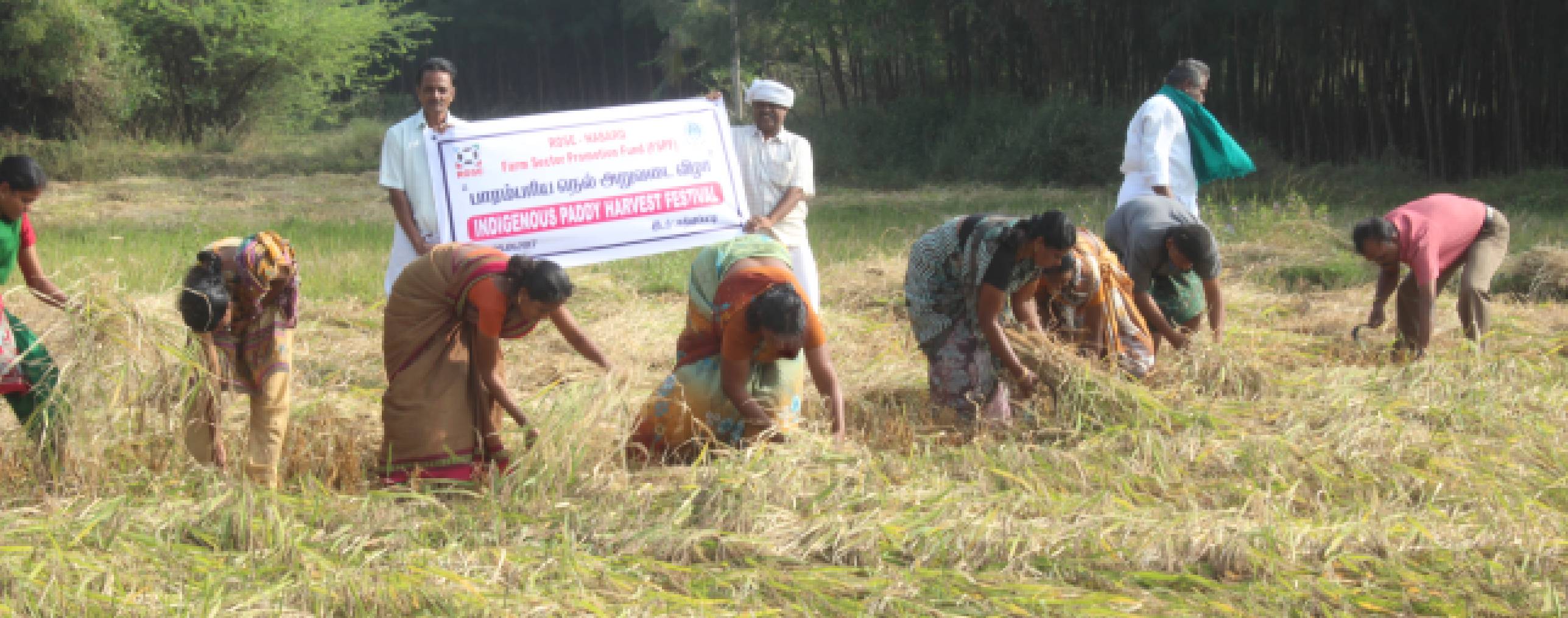 Sustainable Agriculture & Organic Farming