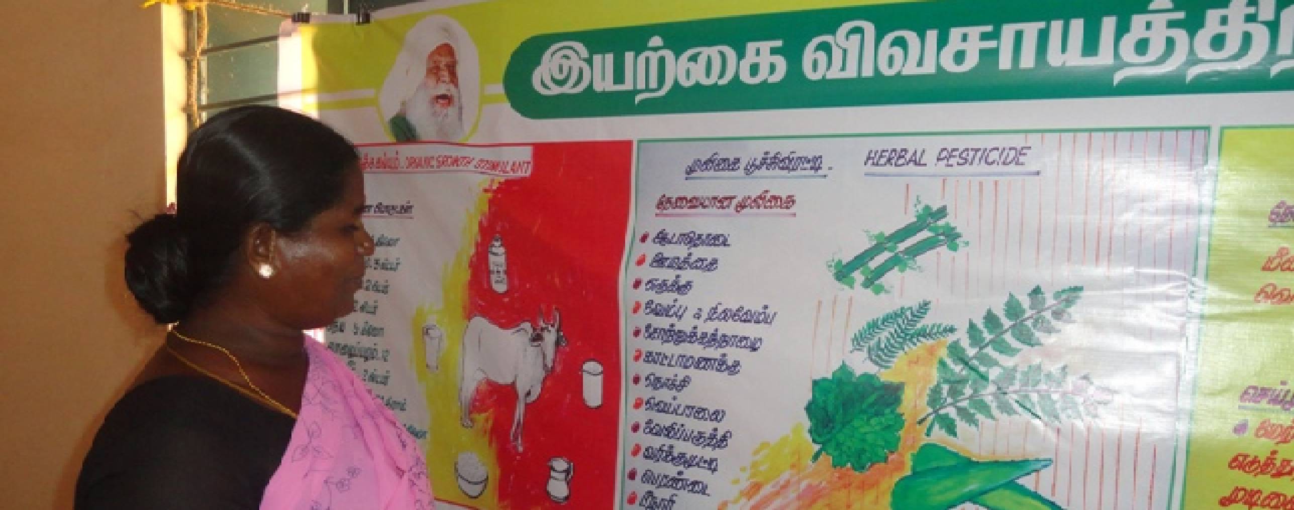 Sustainable Agriculture & Organic Farming